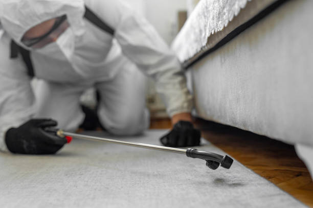 Professional Termite Control technician working in Freedom, PA